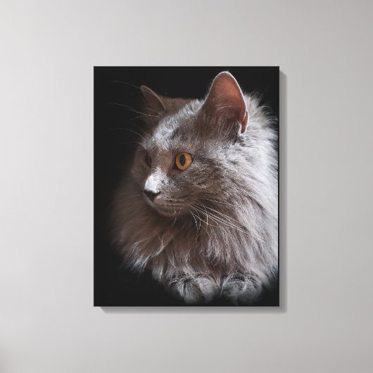 Mooie Russische Blauwe Grijze Kat Nebelung Canvas Afdruk (Voorkant)