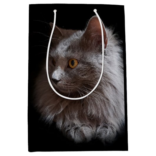 Mooie Russische Blauwe Grijze Kat Nebelung Medium Cadeauzakje (Voorkant)