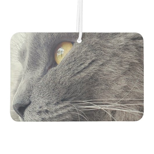 Mooie Russische Blauwe Kat Sluiten Profiel Nebelun Luchtverfrisser (Achterkant)