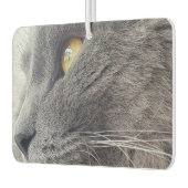 Mooie Russische Blauwe Kat Sluiten Profiel Nebelun Luchtverfrisser (Links)