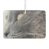 Mooie Russische Blauwe Kat Sluiten Profiel Nebelun Luchtverfrisser (Voorkant)