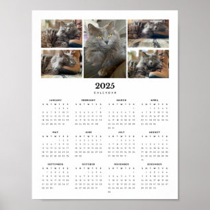 Mooie Russische Blauwe Nebelung Cat 2025 Kalender Poster