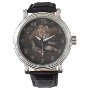 Mooie rustende leeuw in het wild horloge