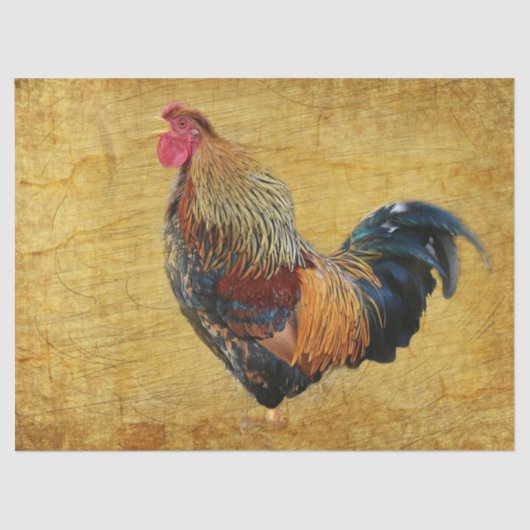 Mooie Rustic Rooster Tissuepapier (Voorkant)