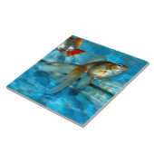 Mooie ryukin goudvis Tegel Tegeltje (Zijkant)