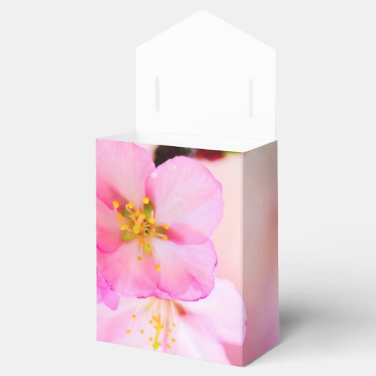 Mooie Sakura Cherry Blossom Bedankdoosjes (Geopend)