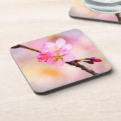 Mooie Sakura Cherry Blossom Bier Onderzetter (Linkerzijde)