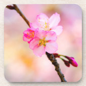 Mooie Sakura Cherry Blossom Bier Onderzetter (Voorkant)