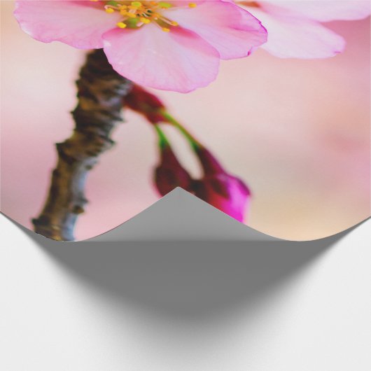 Mooie Sakura Cherry Blossom Cadeaupapier (Hoek)