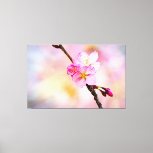 Mooie Sakura Cherry Blossom Canvas Afdruk (Voorkant)