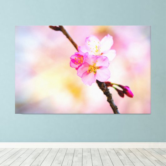 Mooie Sakura Cherry Blossom Canvas Afdruk (Insitu (Houten vloer))