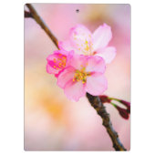 Mooie Sakura Cherry Blossom Klembord (Achterkant)