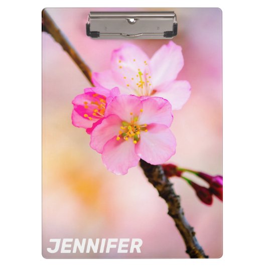 Mooie Sakura Cherry Blossom Klembord (Voorkant)