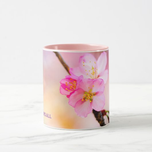 Mooie Sakura Cherry Blossom Mok (Midden)