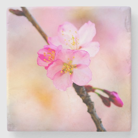 Mooie Sakura Cherry Blossom Stenen Onderzetter (Voorkant)