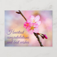Mooie Sakura Kersenbloesem Ansichtkaart