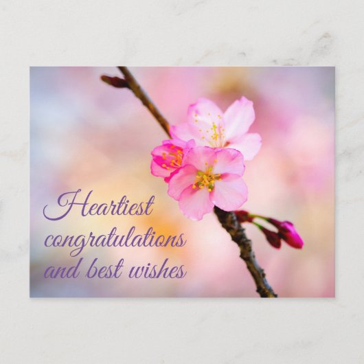Mooie Sakura Kersenbloesem Ansichtkaart Briefkaart (Voorkant)