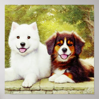 Mooie Samoyed en Engelse Shepherd Pups