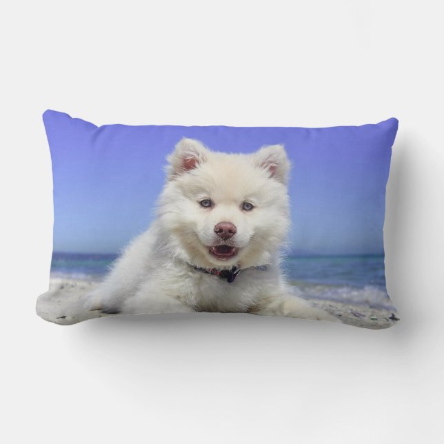 Mooie Samoyed hond Kussen (Voorkant)