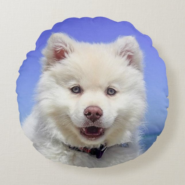 Mooie Samoyed hond Rond Kussen (Voorkant)