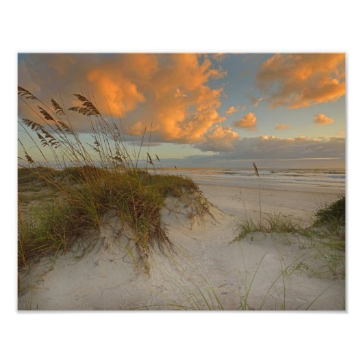 Mooie Sand Dunes in Daytona Beach, FL Foto Afdruk (Voorkant)