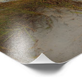 Mooie Sand Dunes in Daytona Beach, FL Foto Afdruk (Hoek)