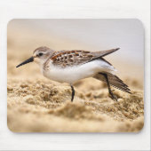 Mooie Sandpipervogel in de zand Muismat (Voorkant)