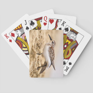Mooie Sandpipervogel in de zand Pokerkaarten