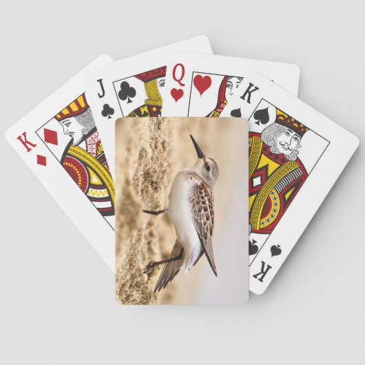 Mooie Sandpipervogel in de zand Pokerkaarten (Achterkant)