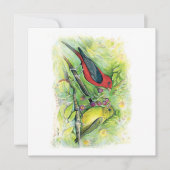 Mooie Scarlet Tanager Paar Note Kaart (Voorkant)
