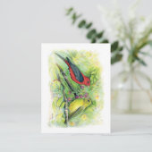 Mooie Scarlet Tanager Paar Note Kaart (Staand voorkant)