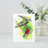 Mooie Scarlet Tanager Paar Note Kaart (Staand voorkant)