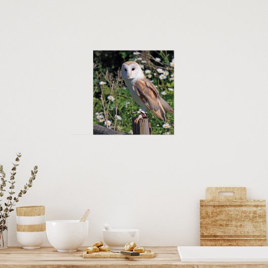 Mooie scharnenuil poster (Keuken)