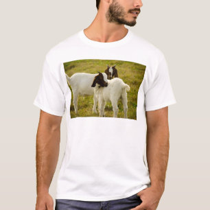 Mooie Schattige Babygatjes in de Weide T-shirt