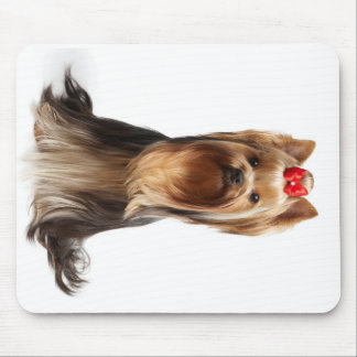 Mooie schattige hond muismat