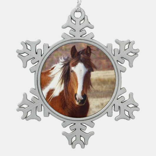 Mooie schilderpaard Pewter Snowflake Ornament (Voorkant)