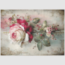 Mooie schoonheid Collectie Roos