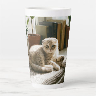 Mooie Schotse Fold Kat Mok - Knus Kat Liefhebber K