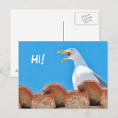 Mooie Seagull - Hallo Briefkaart (Voorkant / Achterkant)