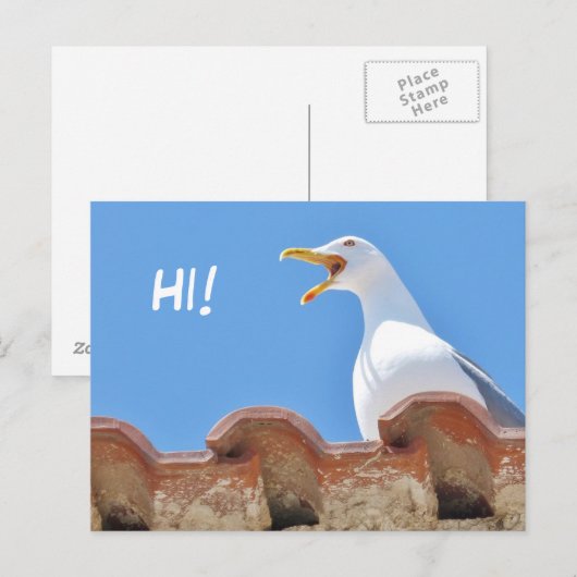 Mooie Seagull - Hallo Briefkaart (Voorkant / Achterkant)