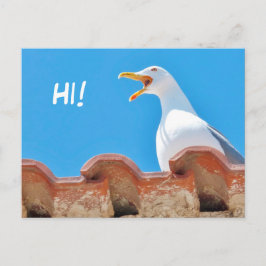 Mooie Seagull - Hallo Briefkaart