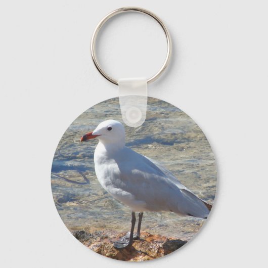 Mooie Seagull - Sleutelhanger (Voorkant)