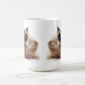 MOOIE SEAL POINT SIAMESE KITTEN IN MAND KOFFIEMOK (Center)