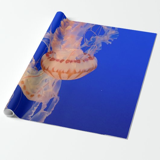 Mooie Seascape Cadeaupapier (Uitgerold)