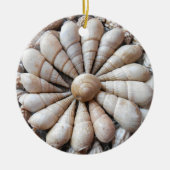 Mooie Seashell Circular Ornament (Voorkant)