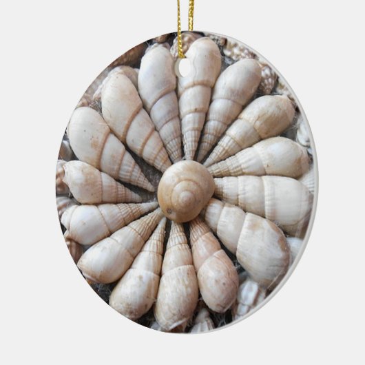 Mooie Seashell Circular Ornament (Links)