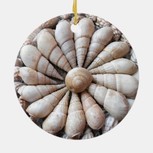 Mooie Seashell Circular Ornament (Achterkant)