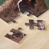 Mooie Senegal-duif op een boomkraan Legpuzzel (Zijkant)