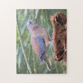 Mooie Senegal-duif op een boomkraan Legpuzzel