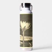 Mooie sepia waterlelie 